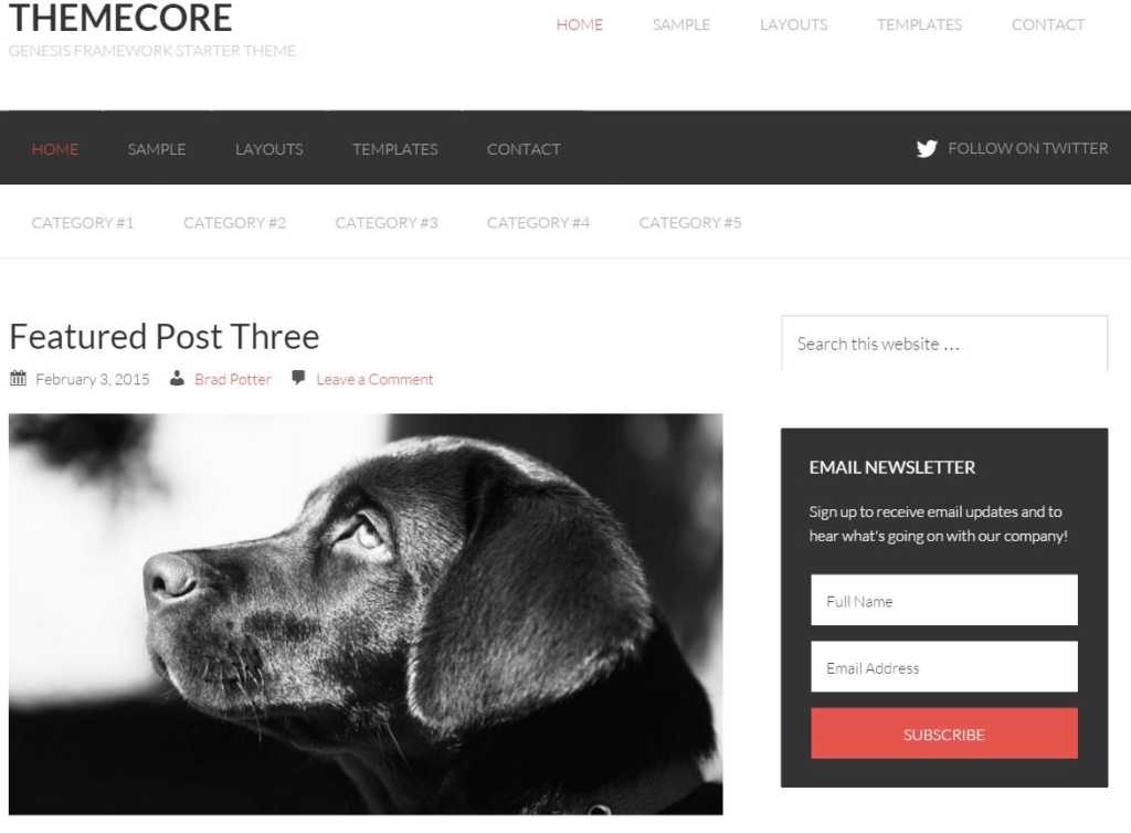 Themecore-wordpress-Genesis child theme