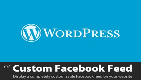 custom facebook feed wordpress