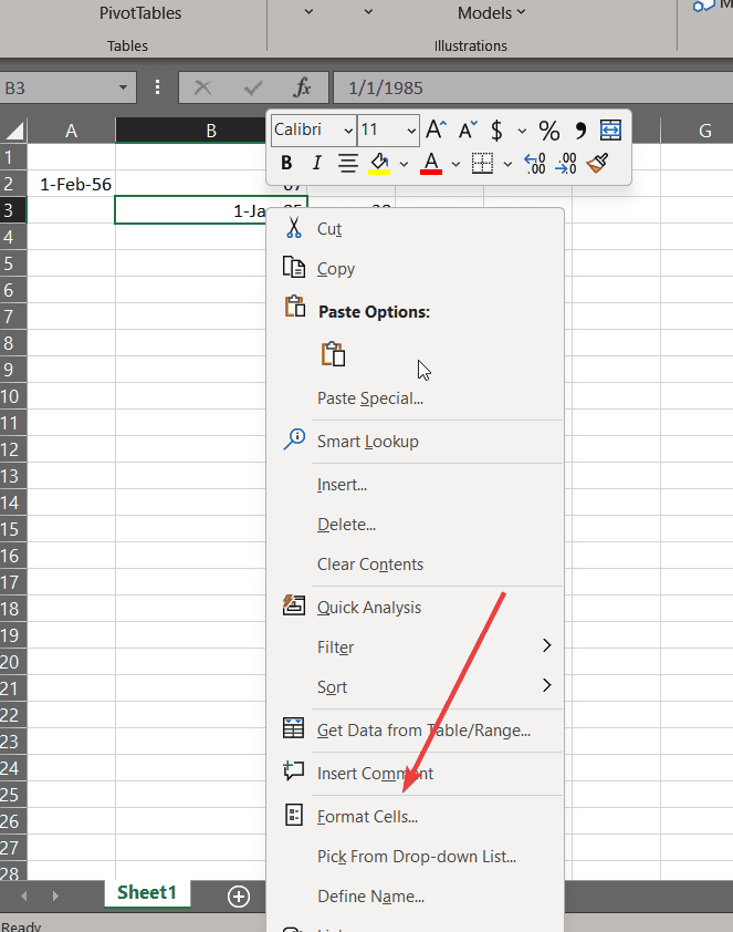 Format cells in Excel to calculate Age