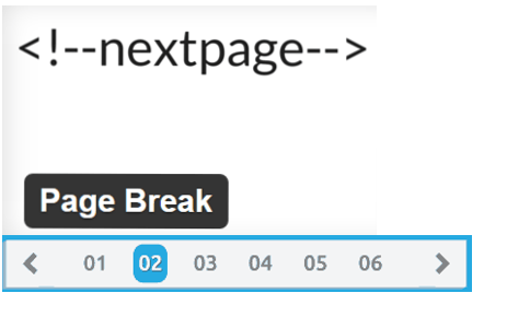 page-break-next-button-wordpress