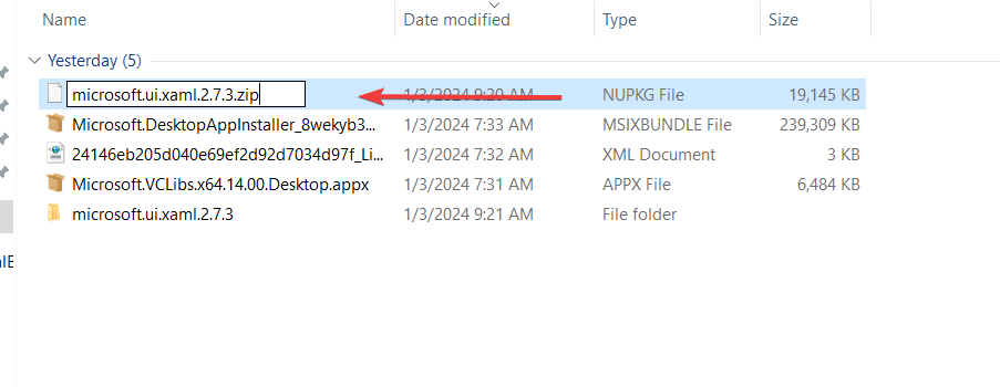 Rename Nupkg to ZIP