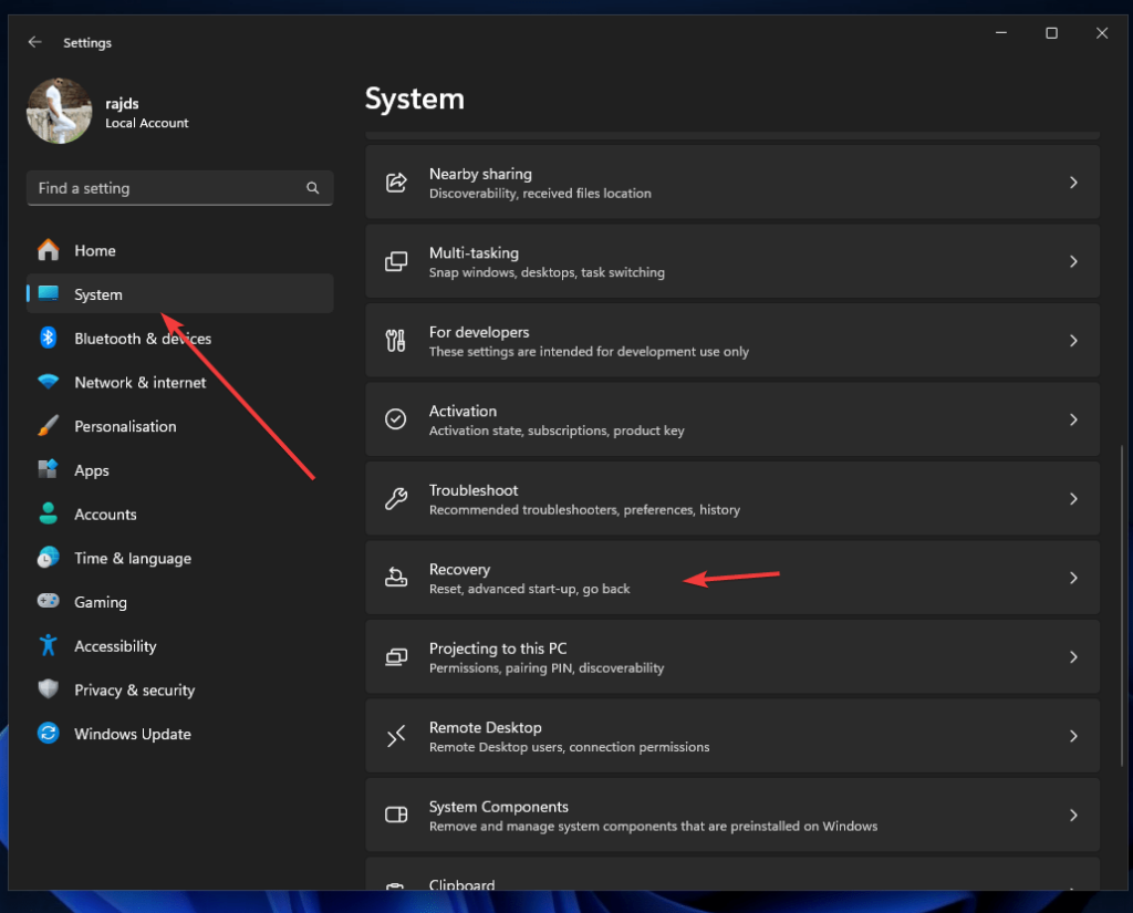 Windows 11 Recovery options